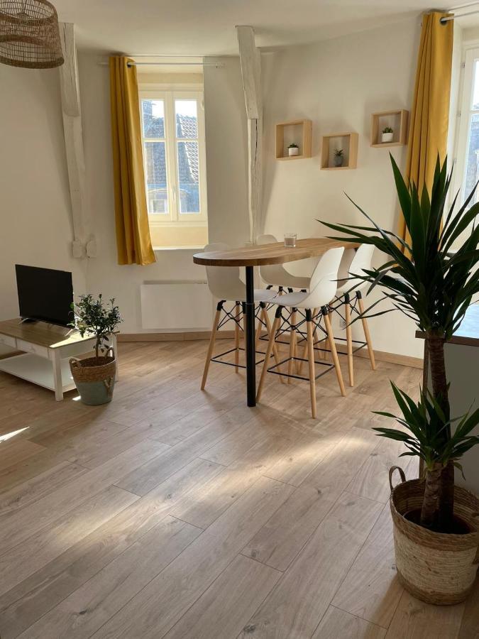 Le Velo Bleu Leilighet Troyes Eksteriør bilde